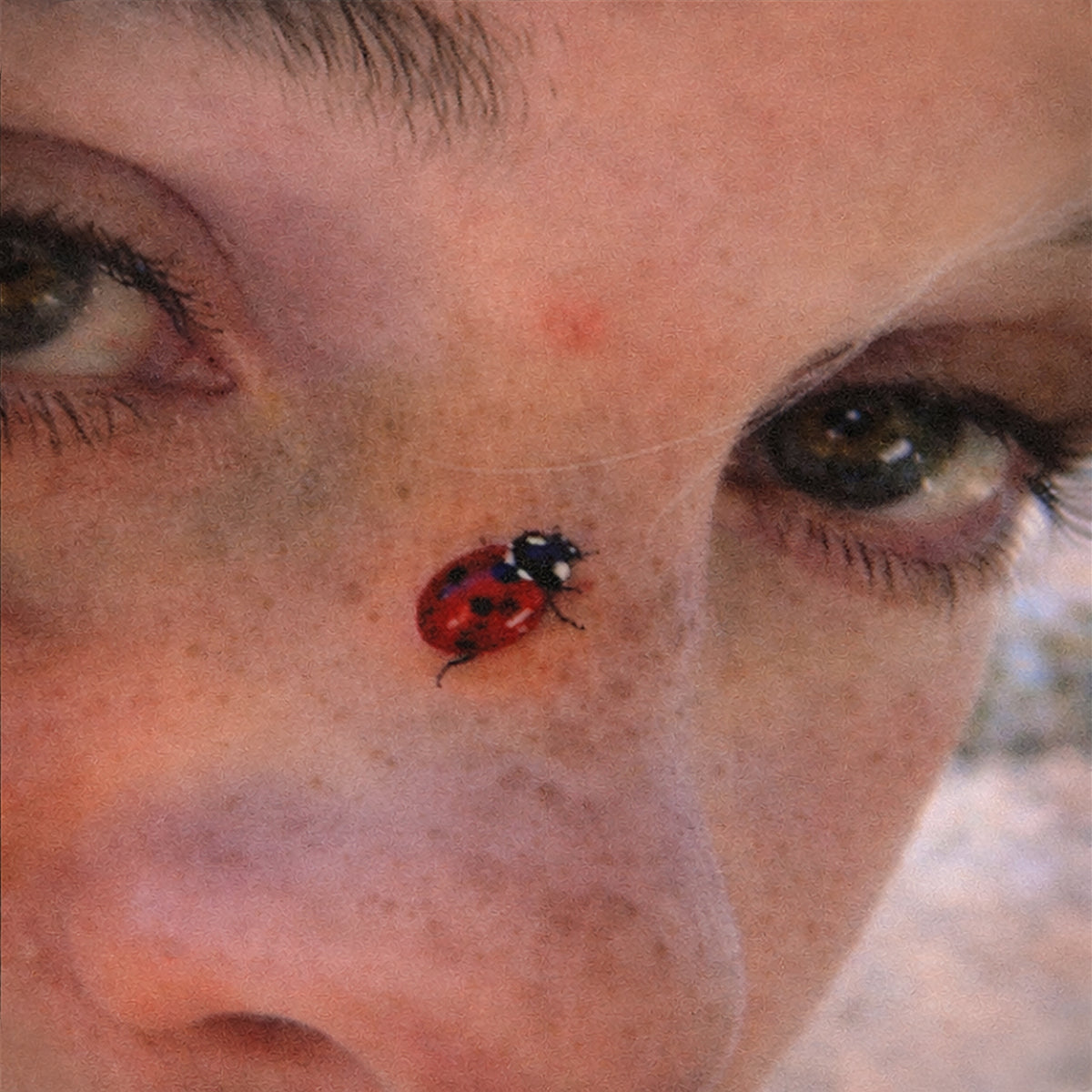 Betty Hammerschlag 'Psycho Summer'