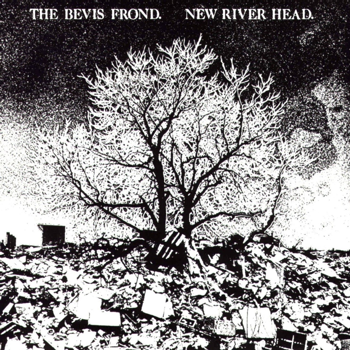 The Bevis Frond 'New River Head'
