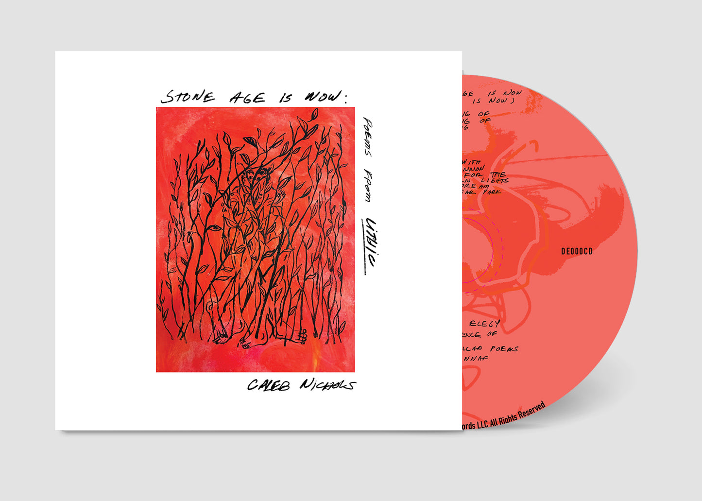 Caleb Nichols 'Stone Age Is Now: Poems from Lithic' PRE-ORDER