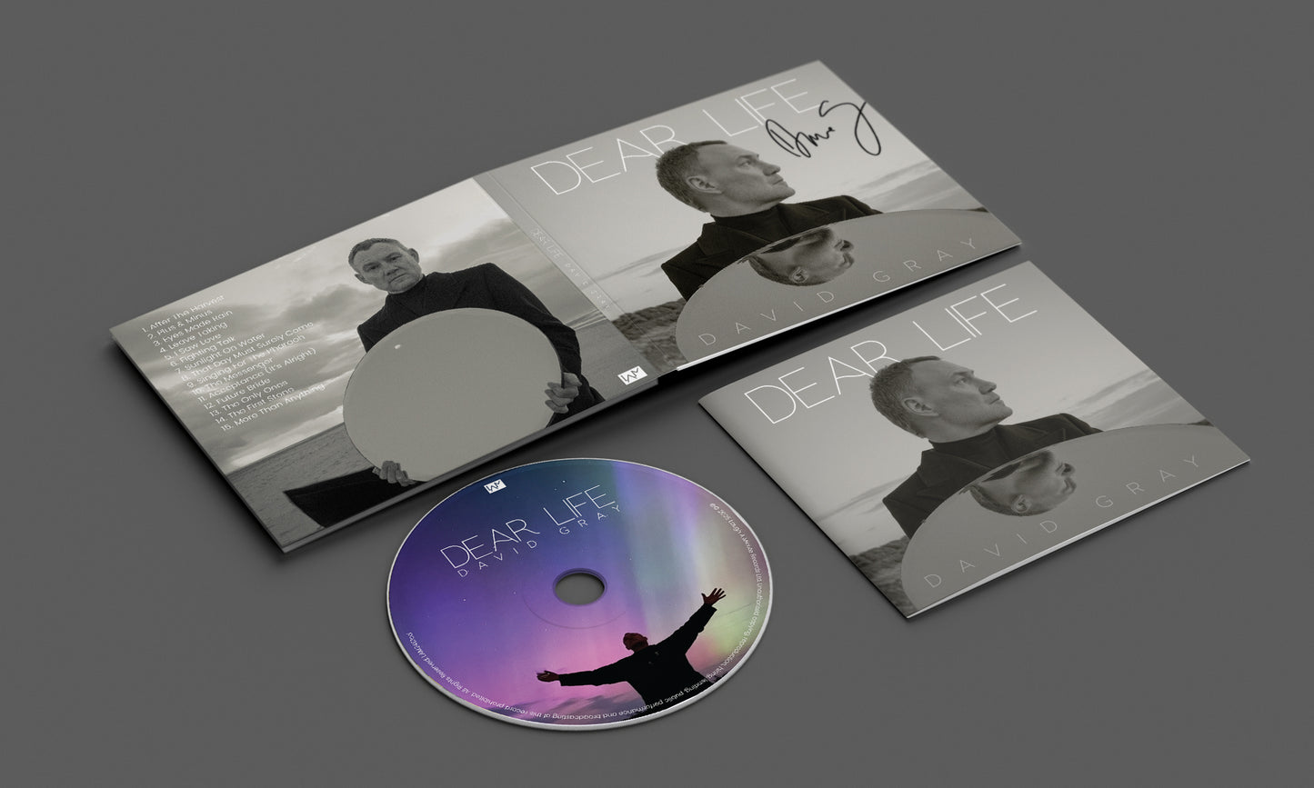 David Gray 'Dear Life'