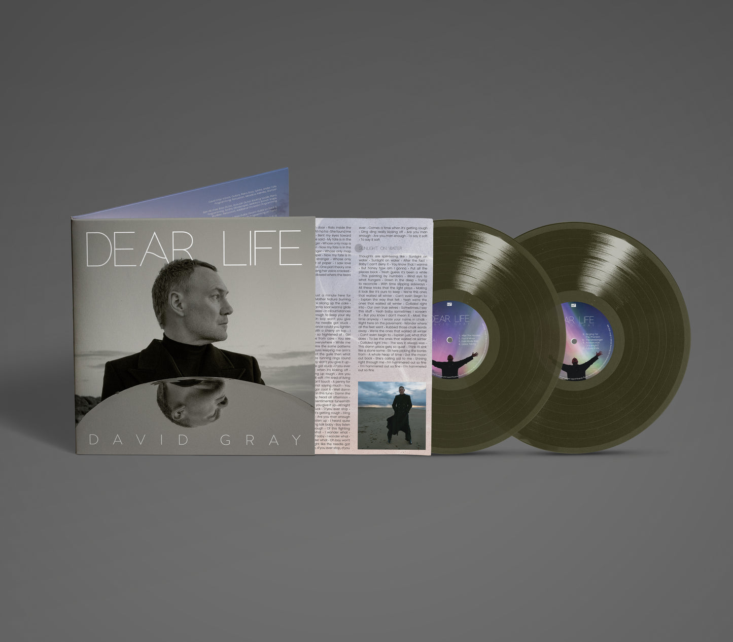 David Gray 'Dear Life' Vinyl LP - Green (Slightly Damaged Sleeve)