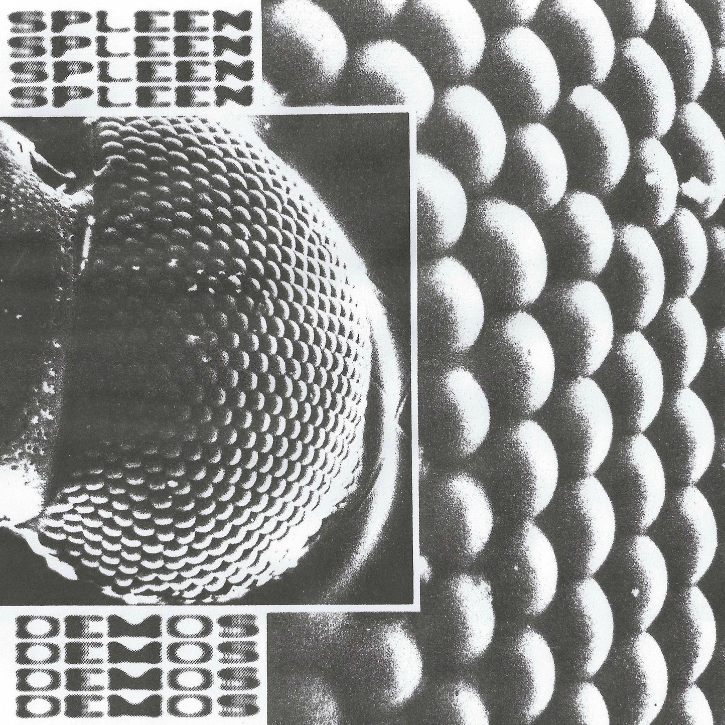 Spleen 'Demos'