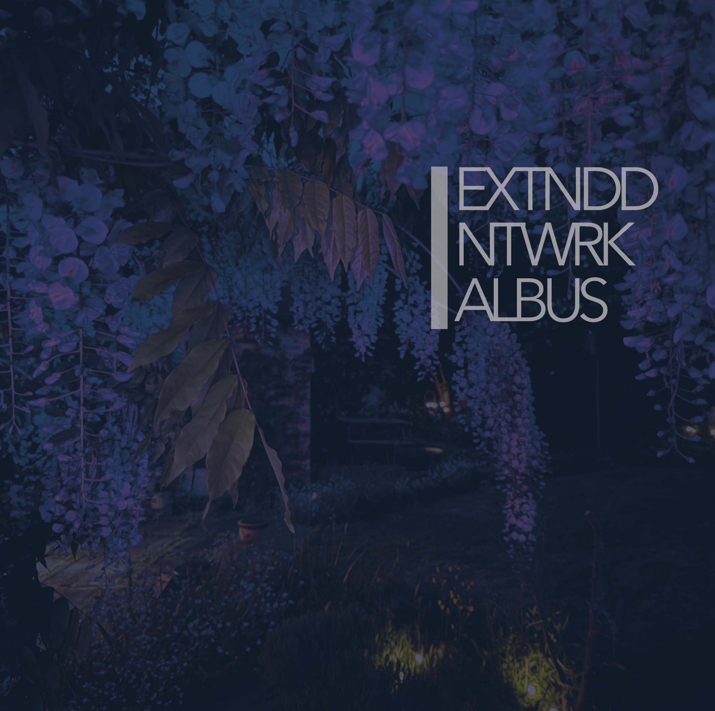 EXTNDDNTWRK 'Albus'