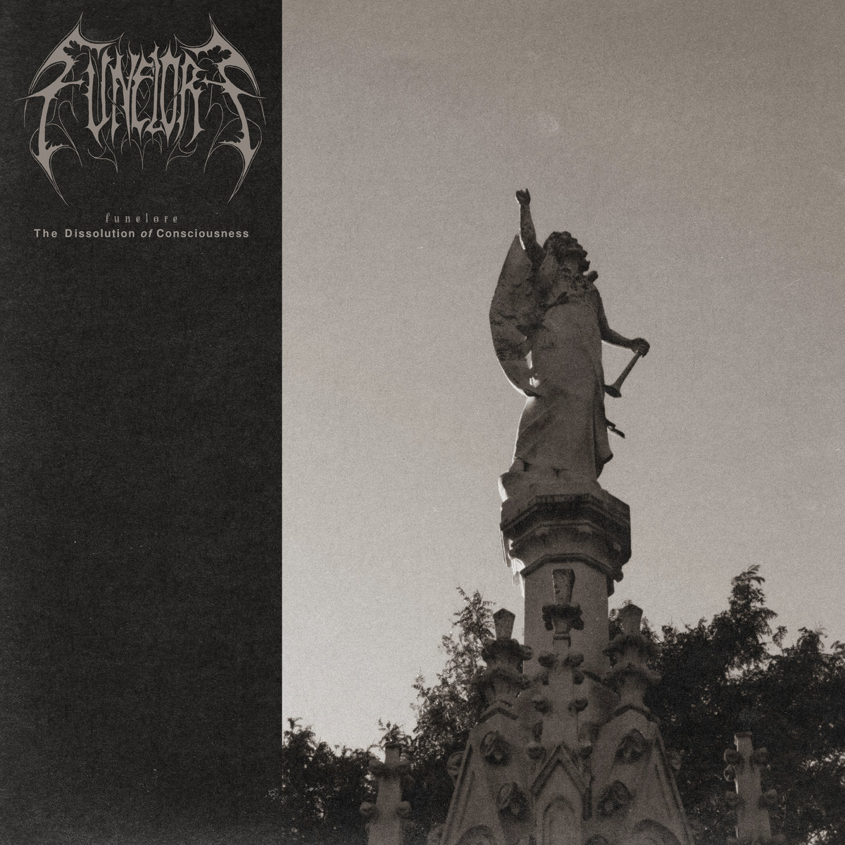 Funelore 'The Dissolution Of Consciousness'