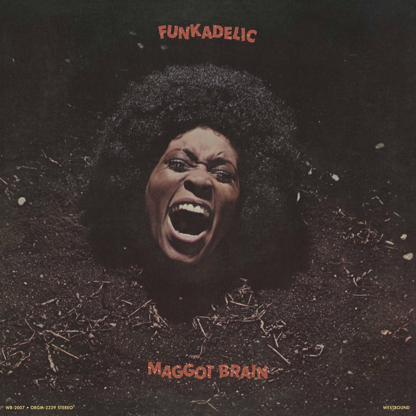 Funkadelic 'Maggot Brain'