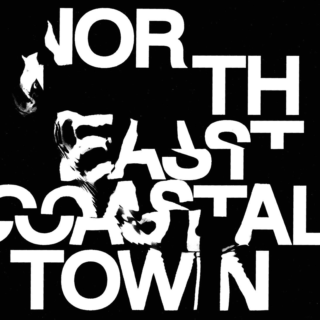 LIFE 'North East Coastal Town'
