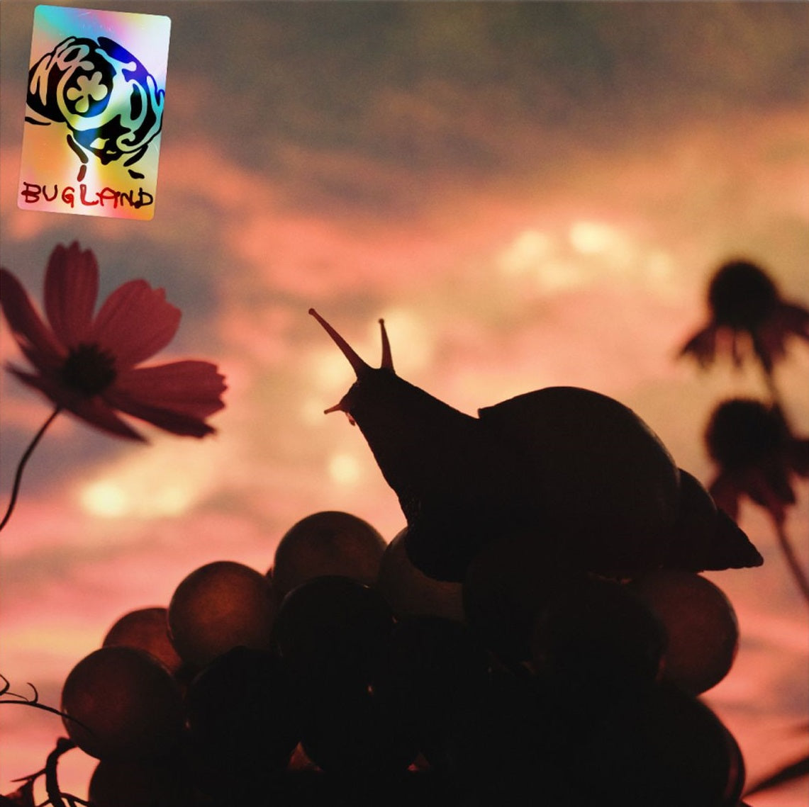 No Joy 'Bugland'