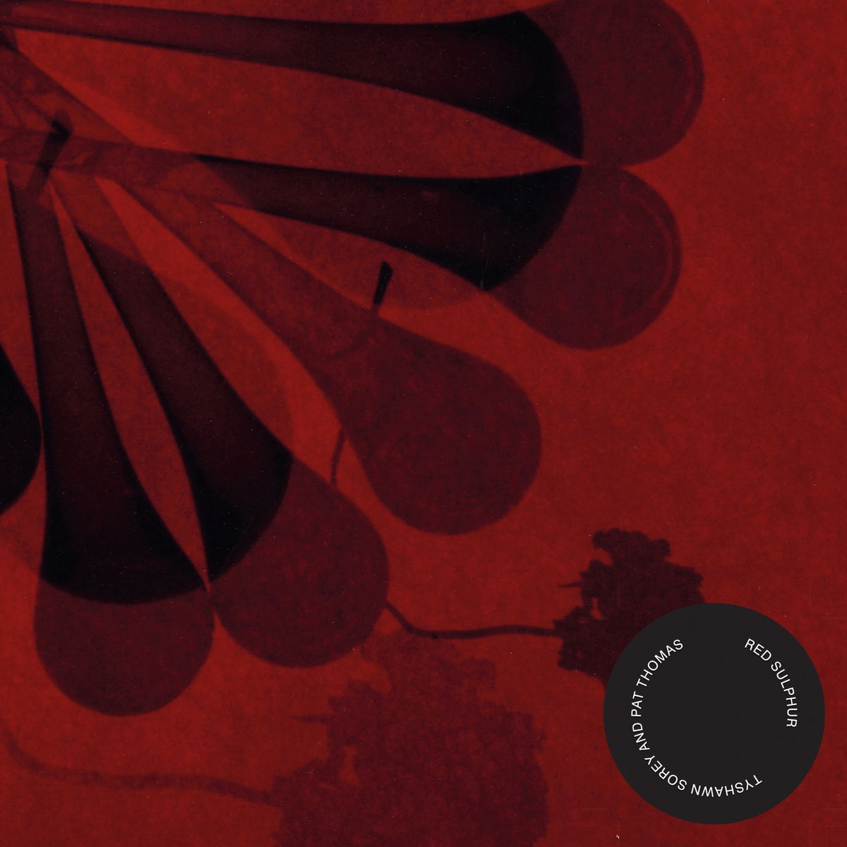 Tyshawn Sorey & Pat Thomas 'Red Sulphur'