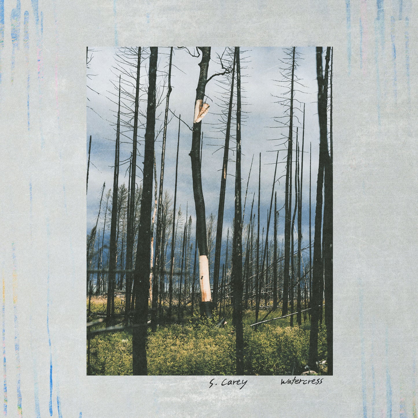 S. Carey 'Watercress'