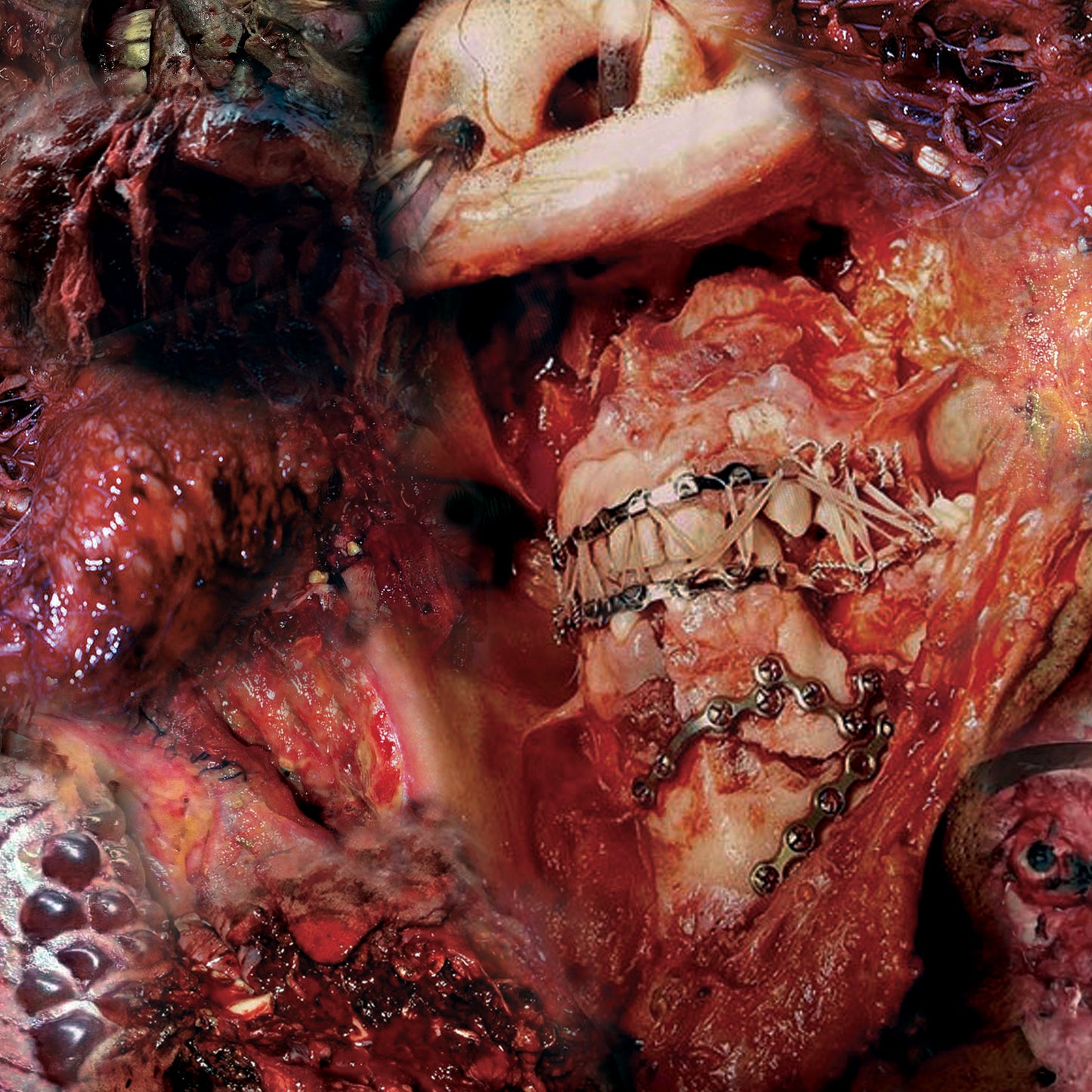 Sion Orgon 'Discord in Disorder'