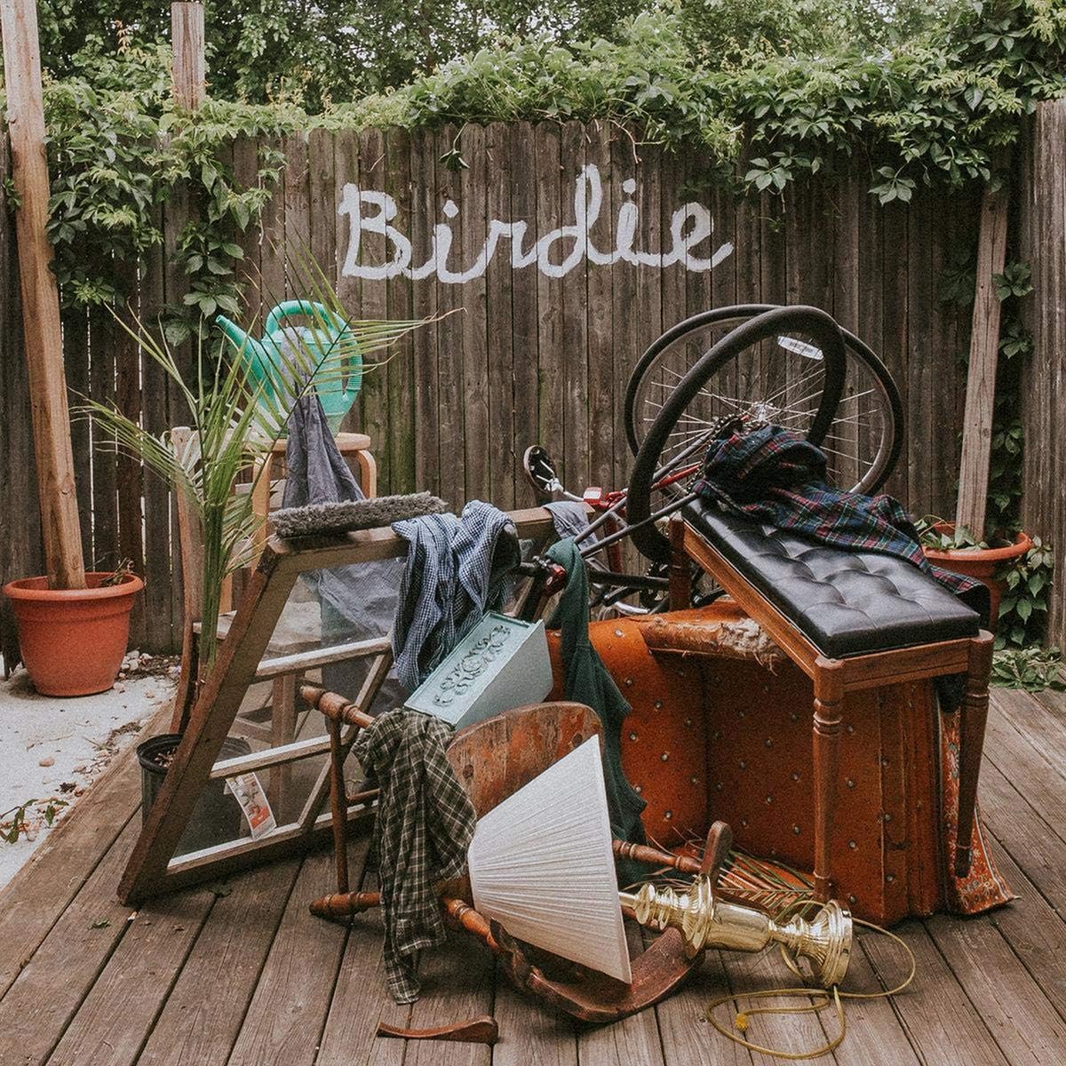 Slaughter Beach, Dog 'Birdie'