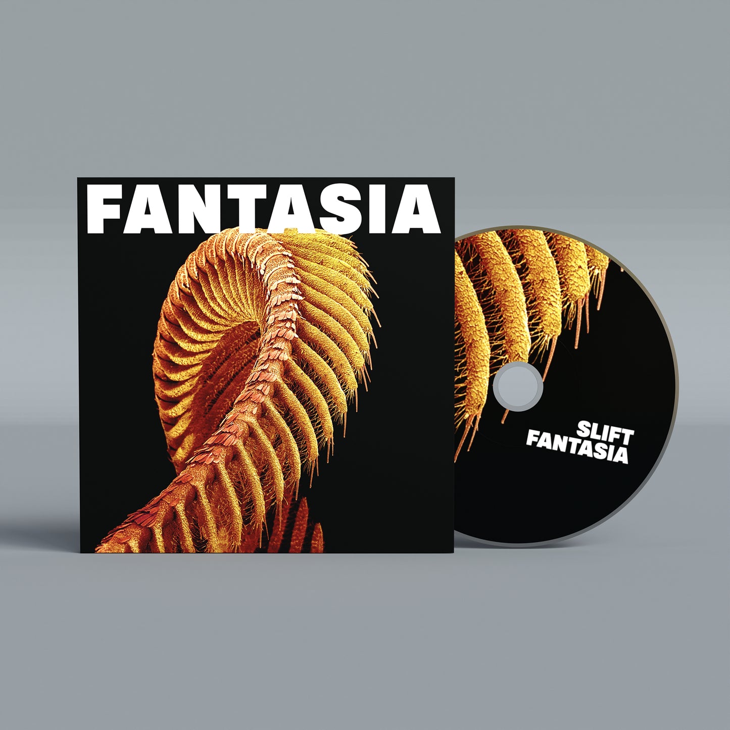 SLIFT 'Fantasia'