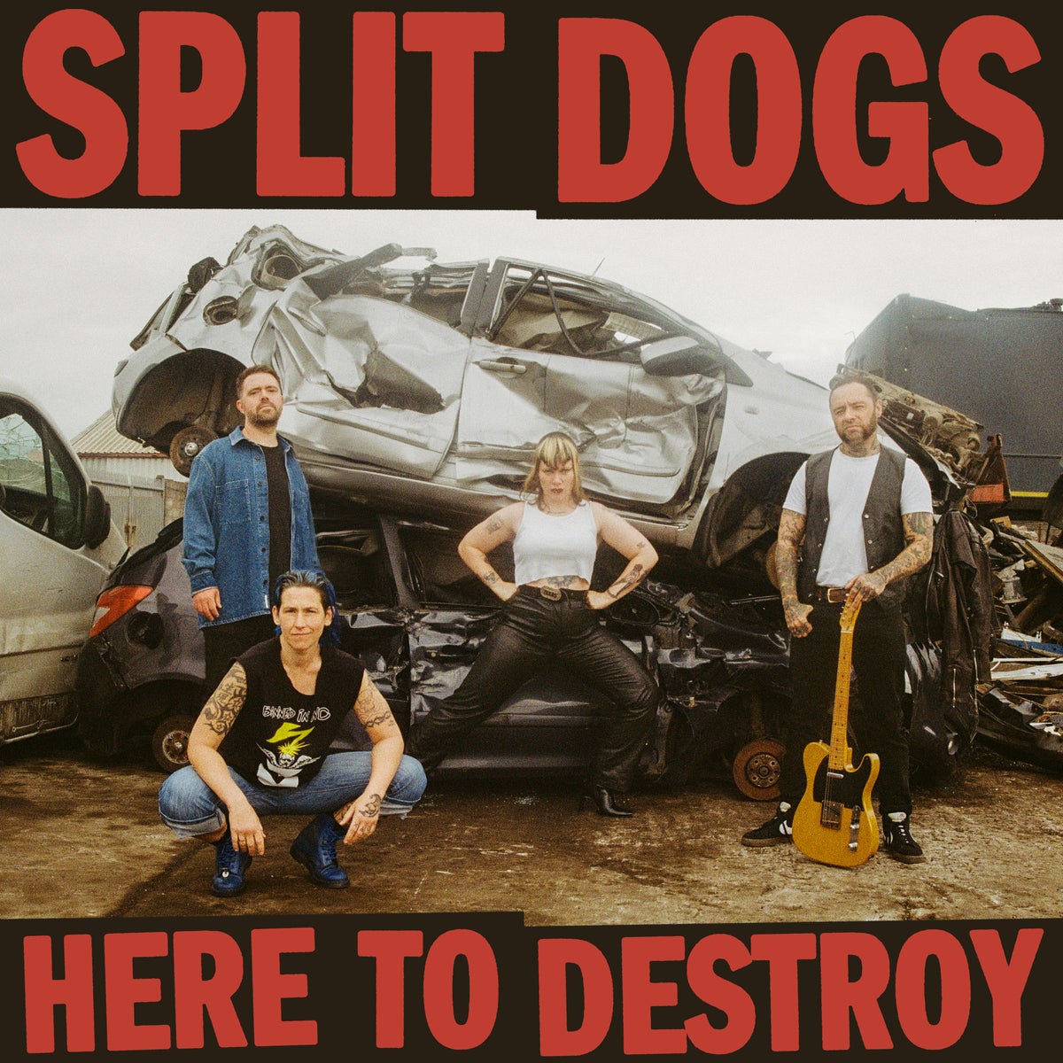 Split Dogs 'Here To Destroy'