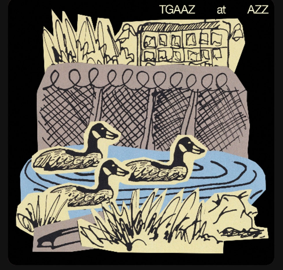 TGAAZ (The Geese at Astra Zeneca) 'TGAAZ at AZZ'