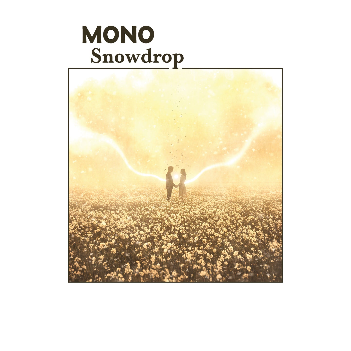 MONO 'Snowdrop'