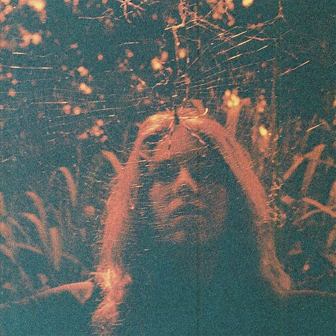 Turnover 'Peripheral Vision (10 Year Anniversary Edition)'
