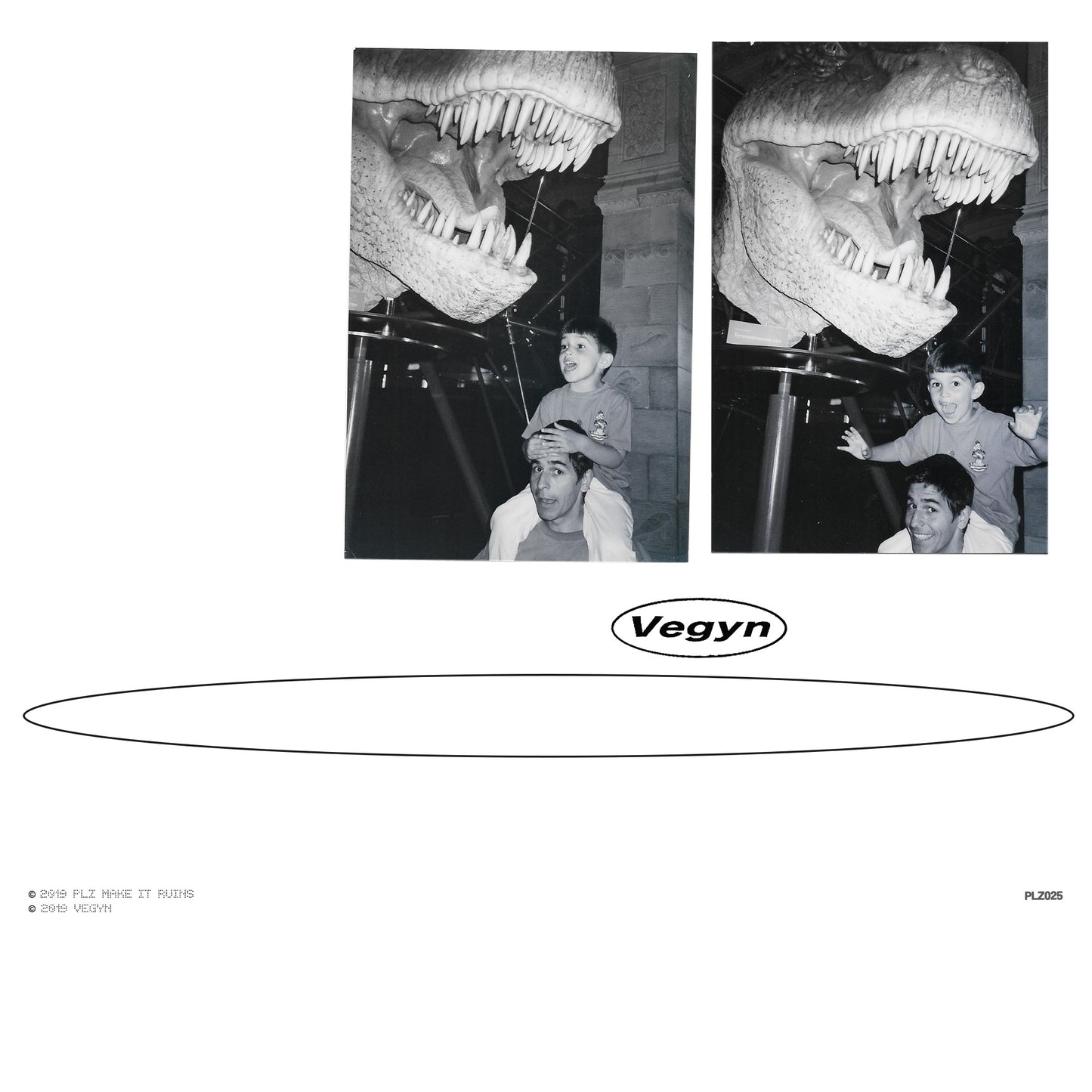 Vegyn 'Only Diamonds Cut Diamonds (Repress)' - Cargo Records UK