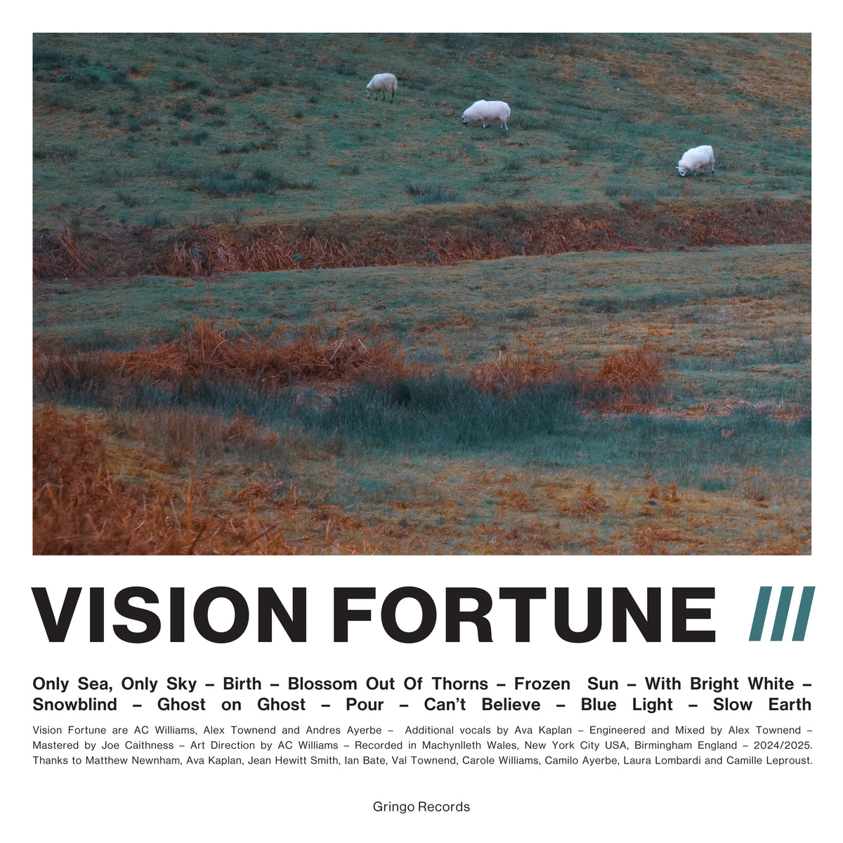 Vision Fortune 'III'