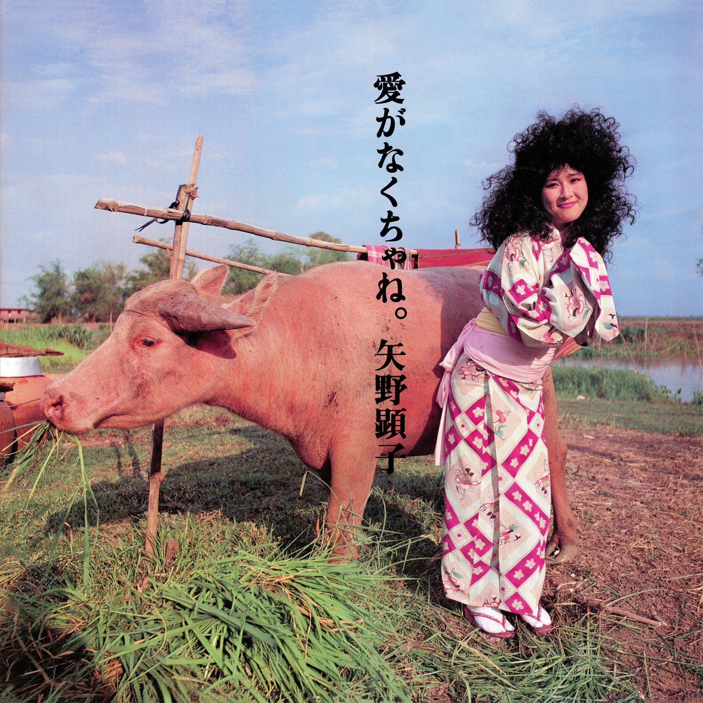 Akiko Yano 'Ai Ga Nakucha Ne'