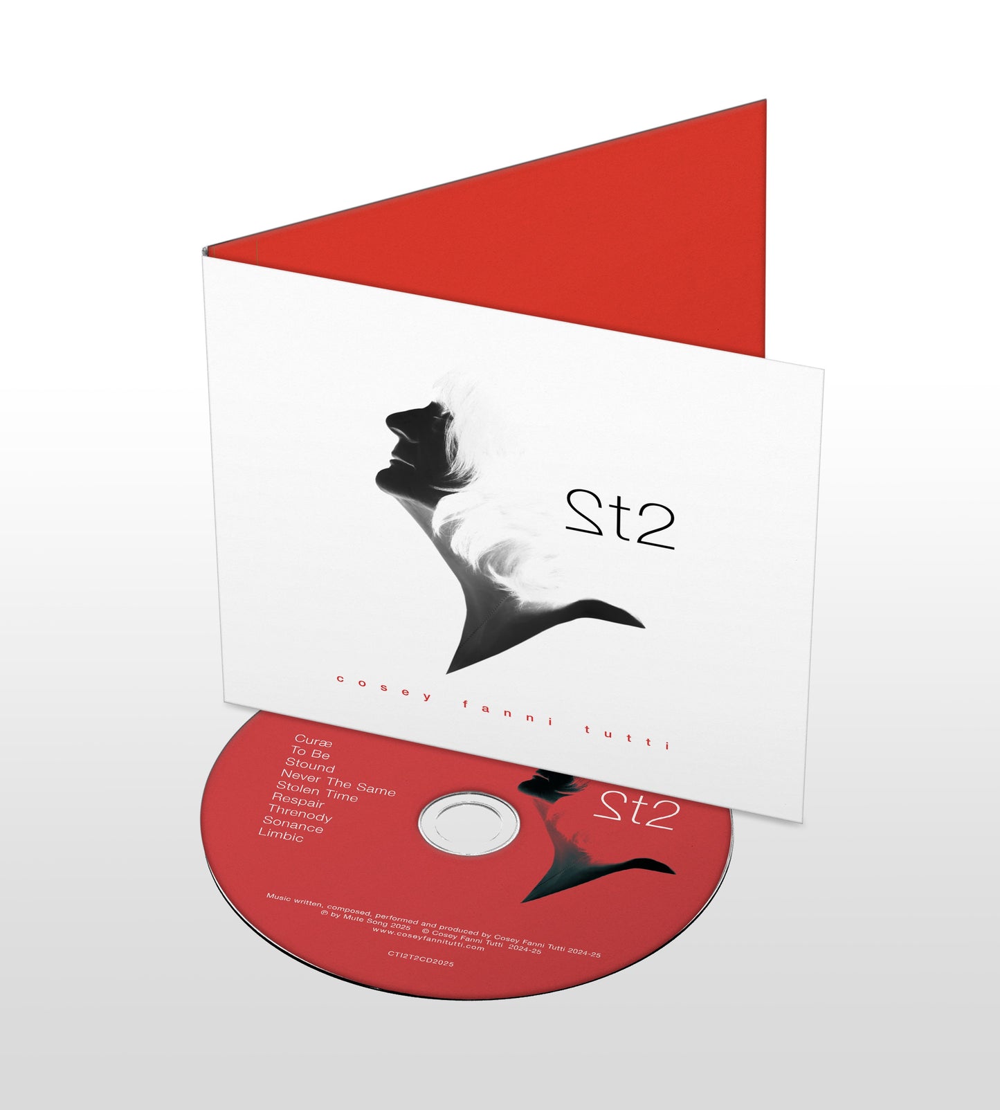 Cosey Fanni Tutti '2t2'