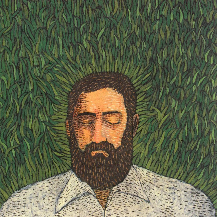 Iron & Wine 'Our Endless Numbered Days'
