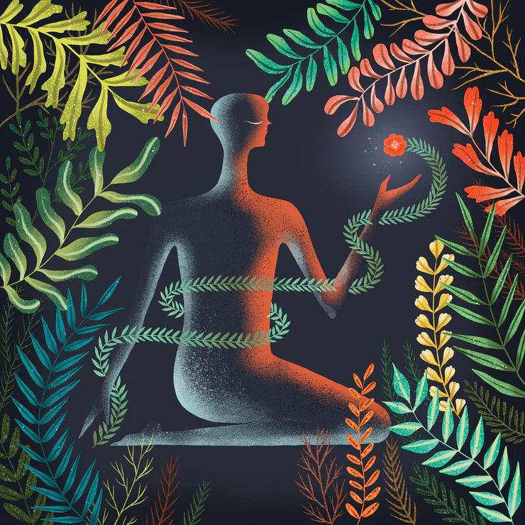 Loma 'Don't Shy Away'