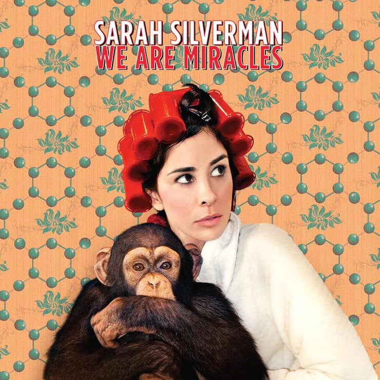 Sarah Silverman 'We Are Miracles'