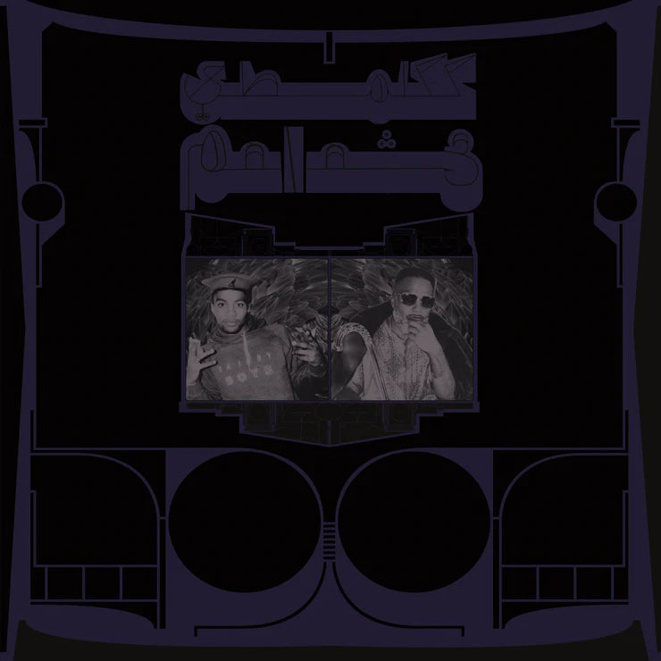 Shabazz Palaces 'Exotic Birds Of Prey'