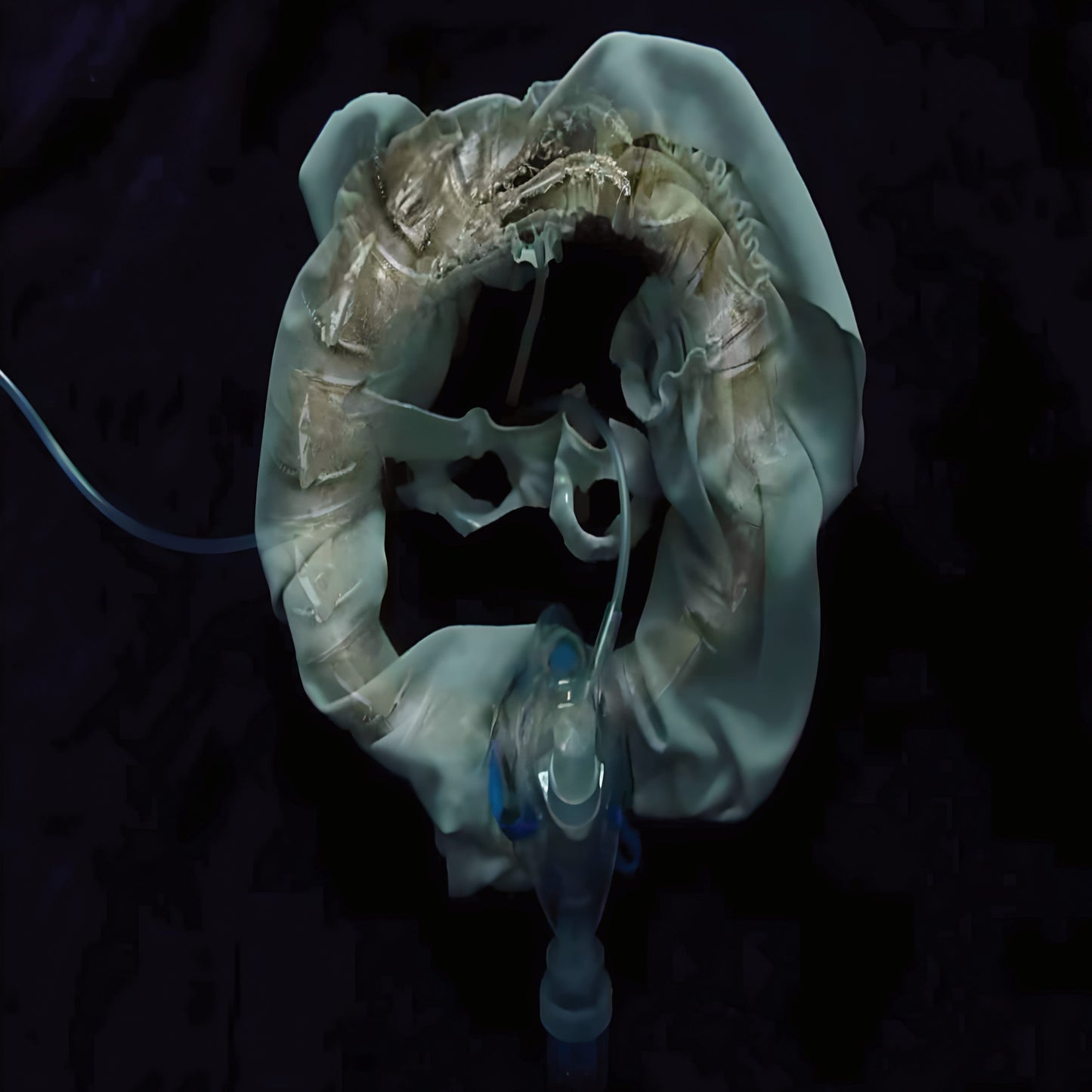 Ship Sket 'InitiatriX'