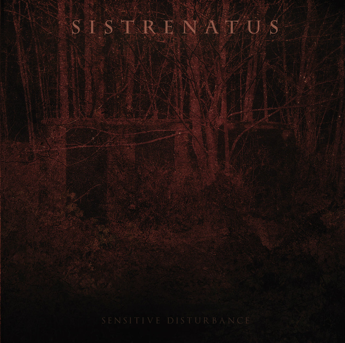 Sistrenatus 'Sensitive Disturbance'