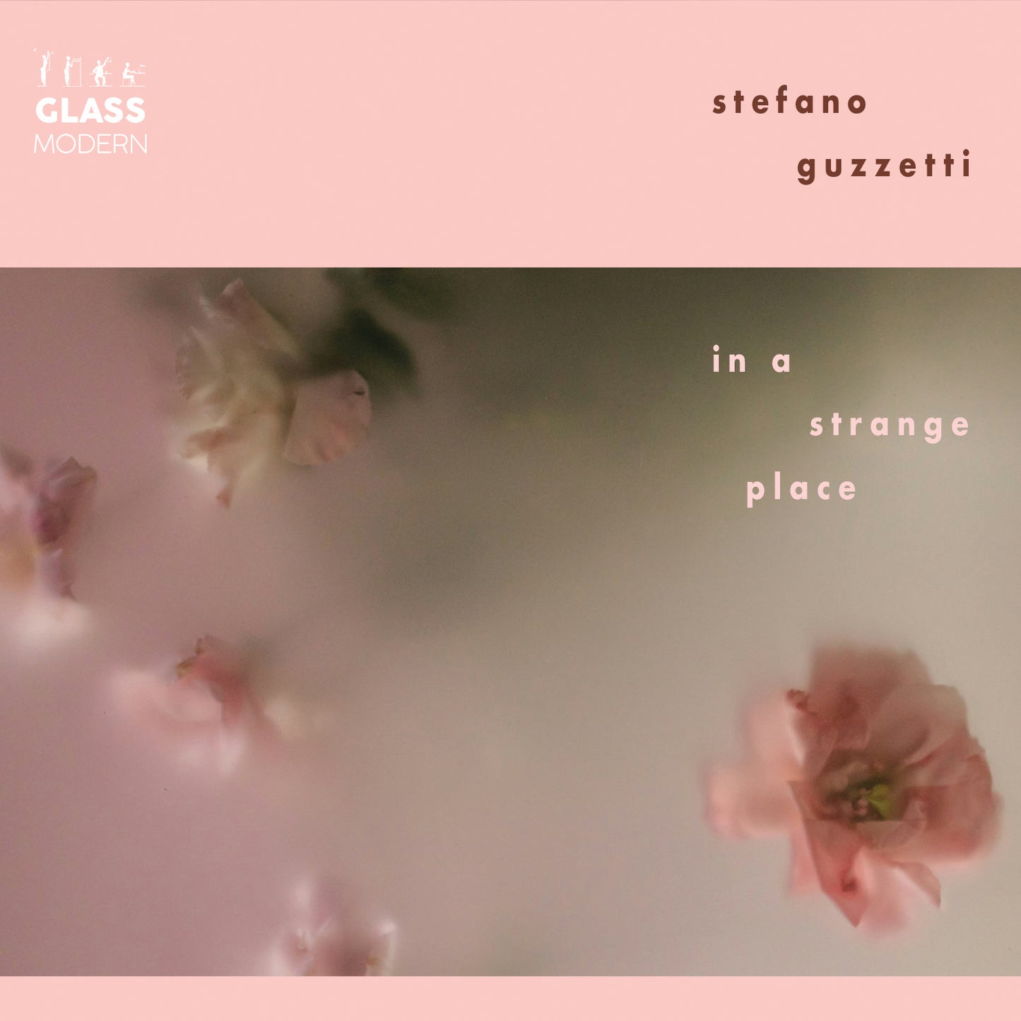Stefano Guzetti 'In A Strange Place'