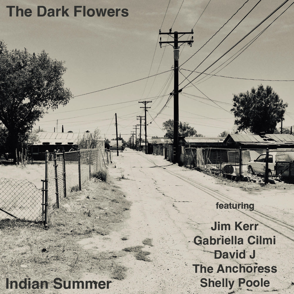 The Dark Flowers 'Indian Summer'