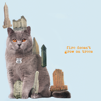 The Brian Jonestown Massacre 'Fire Doesn't Grow On Trees'