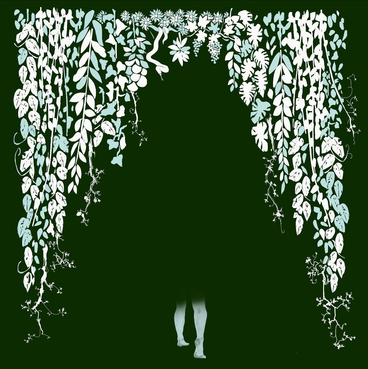 Hey Colossus 'Four Bibles'