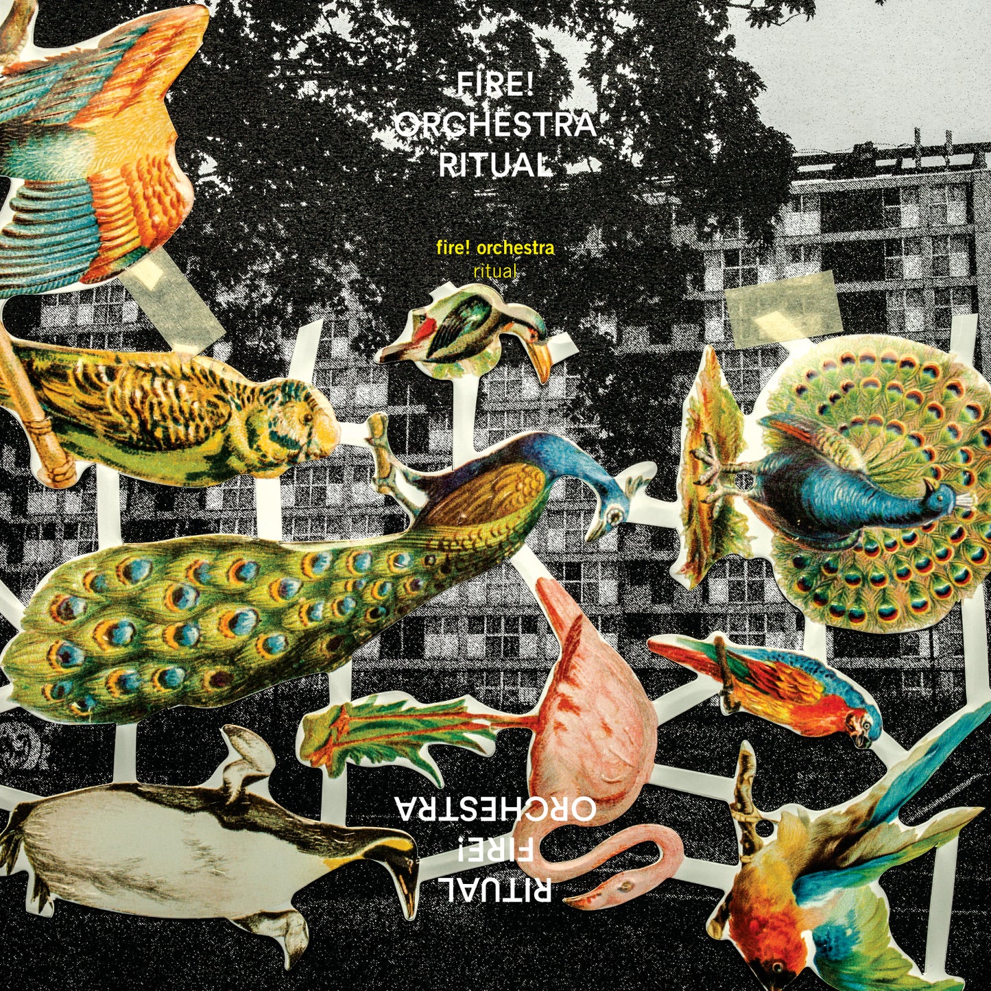 Fire! Orchestra 'Ritual' - Cargo Records UK