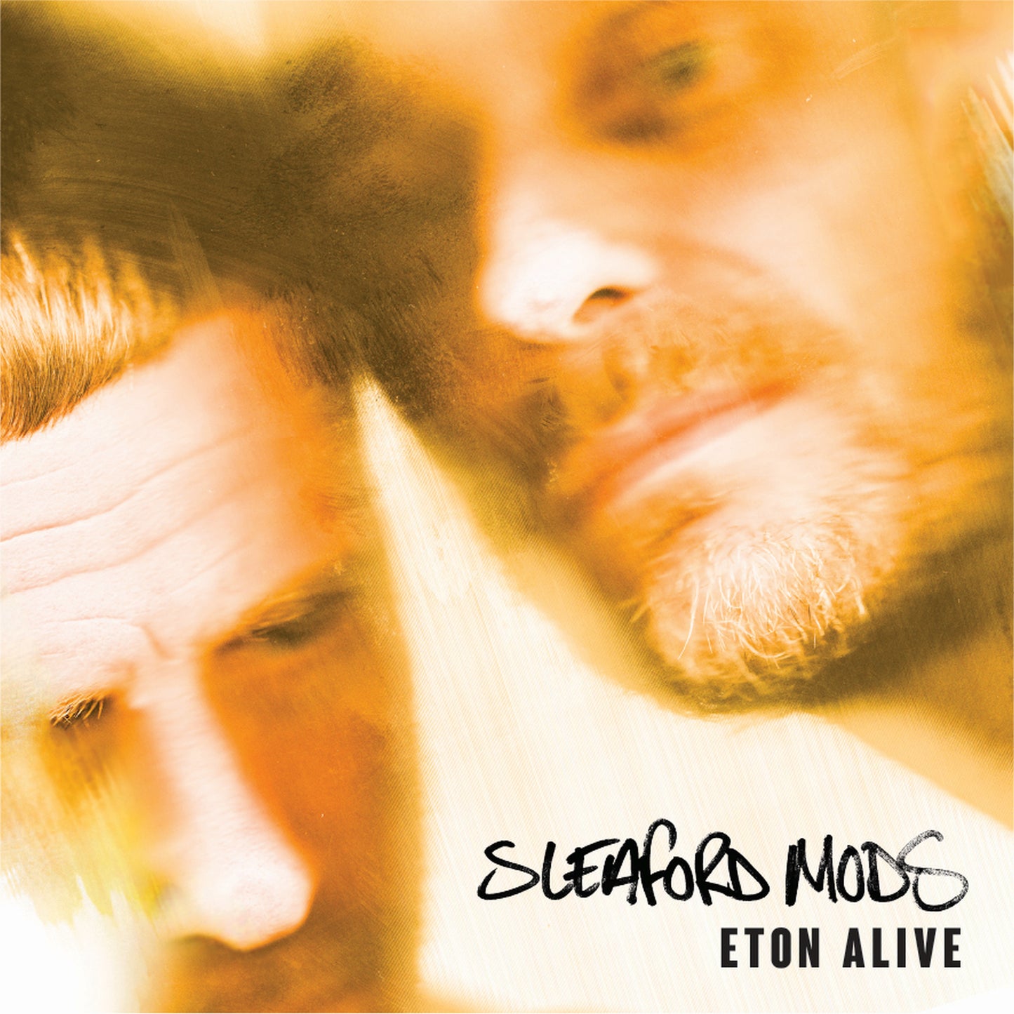 Sleaford Mods 'Eton Alive'