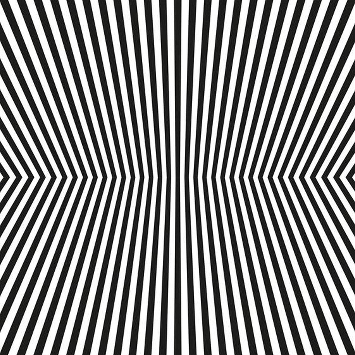 The Vacant Lots 'Damage Control'