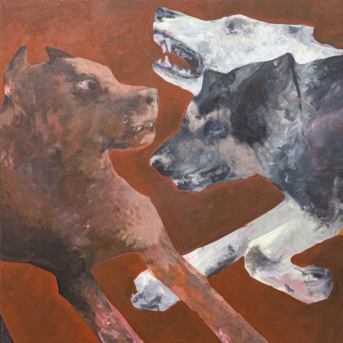 81355 'Bad Dogs' - Cargo Records UK