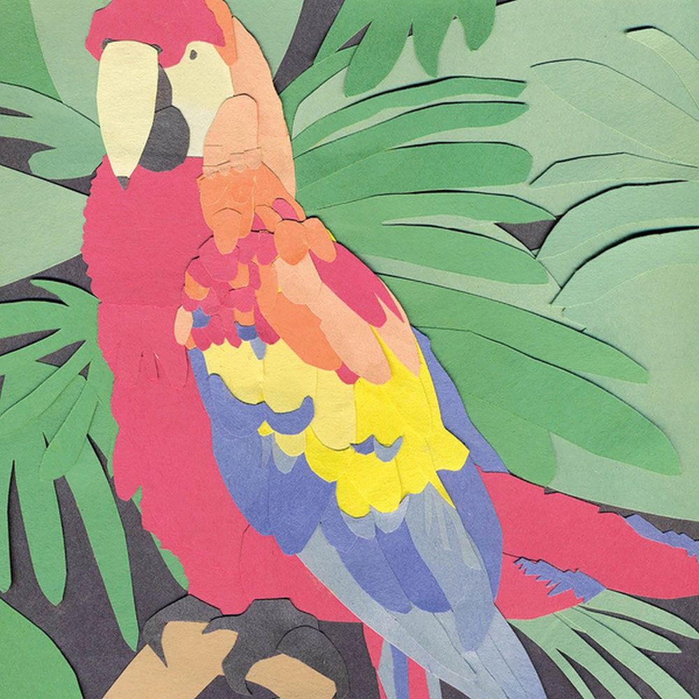Algernon Cadwallader 'Parrot Flies'