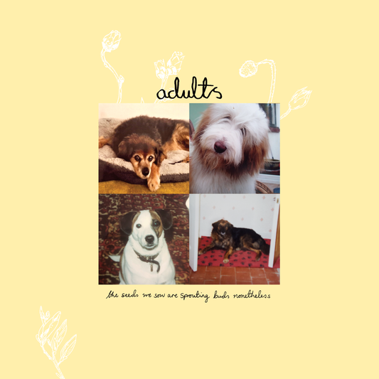 Adults 'The Seeds We Sow Are Sprouting Buds Nonetheless'