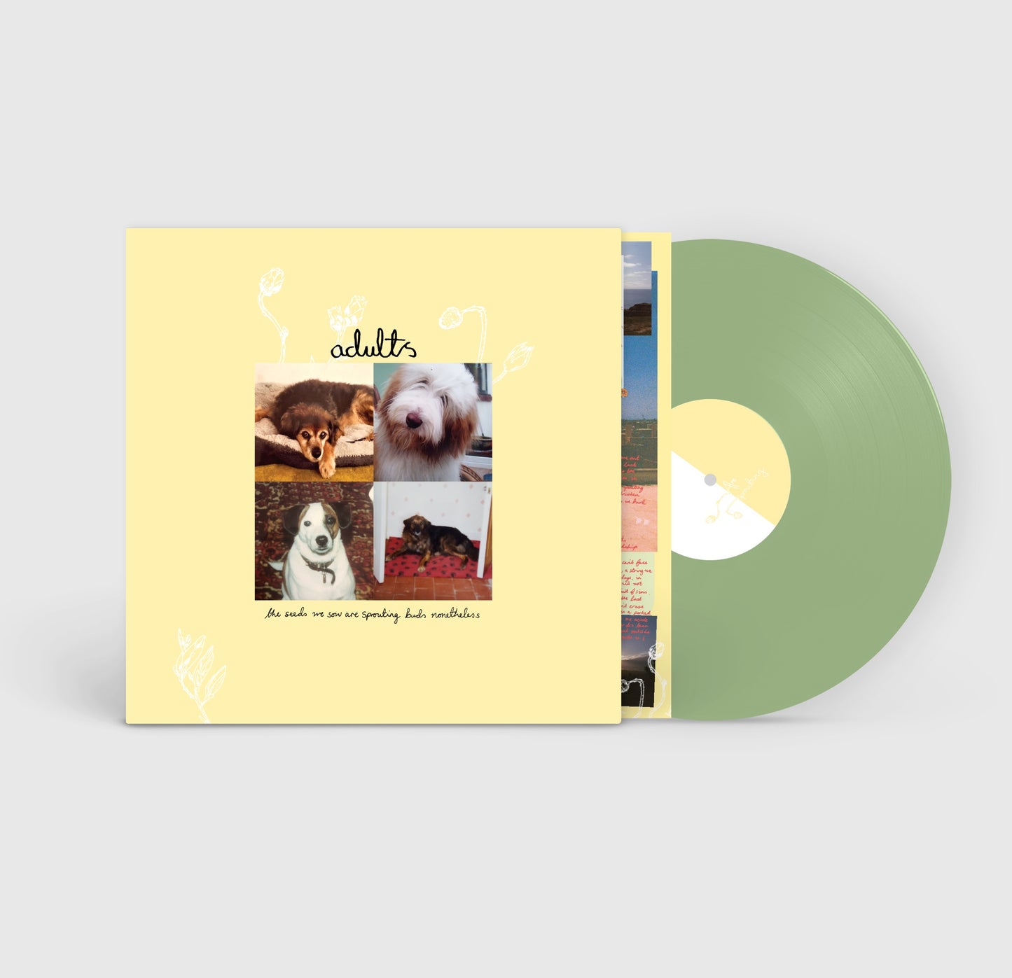 Adults 'The Seeds We Sow Are Sprouting Buds Nonetheless'