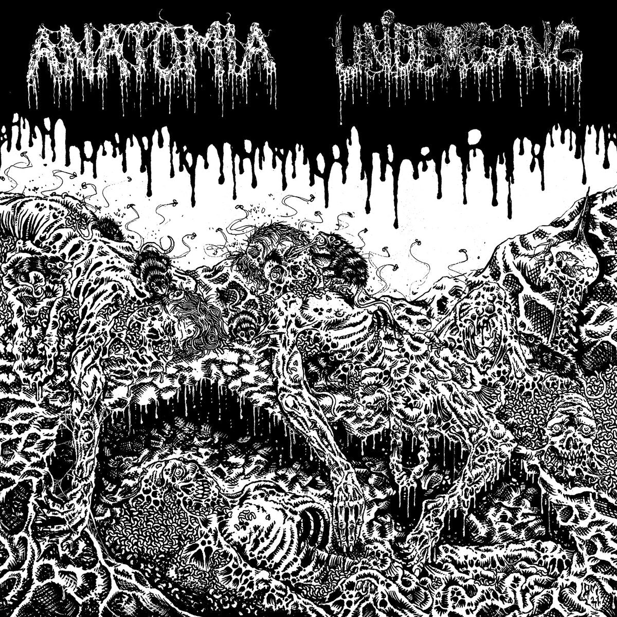 Undergang / Anatomia 'Split LP'