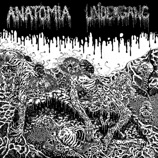 Undergang / Anatomia 'Split LP'
