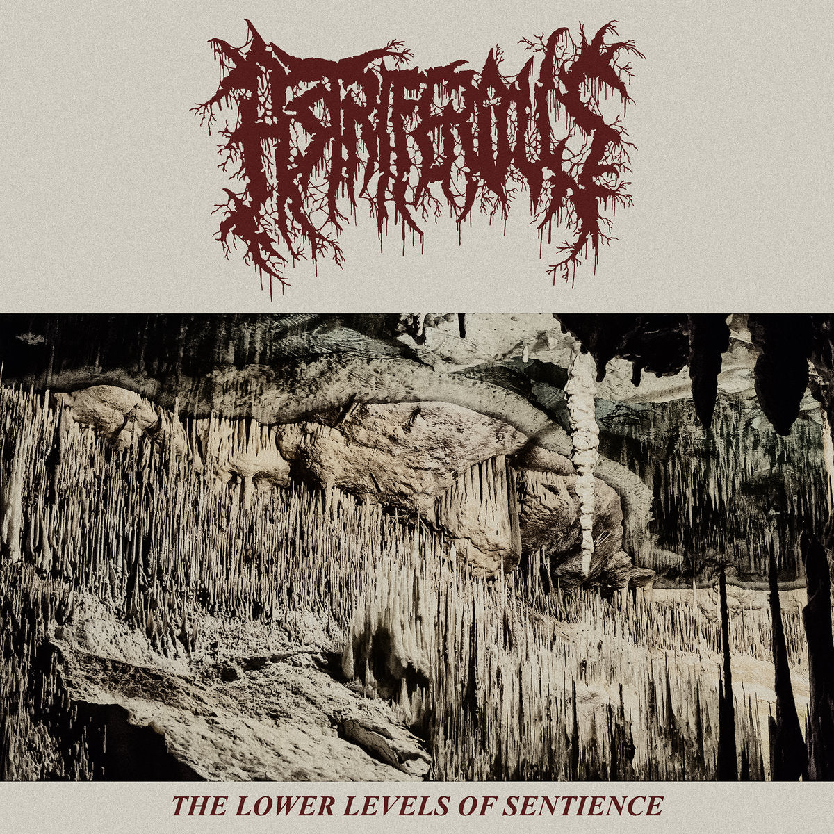 Astriferous 'The Lower Level Of Sentience'