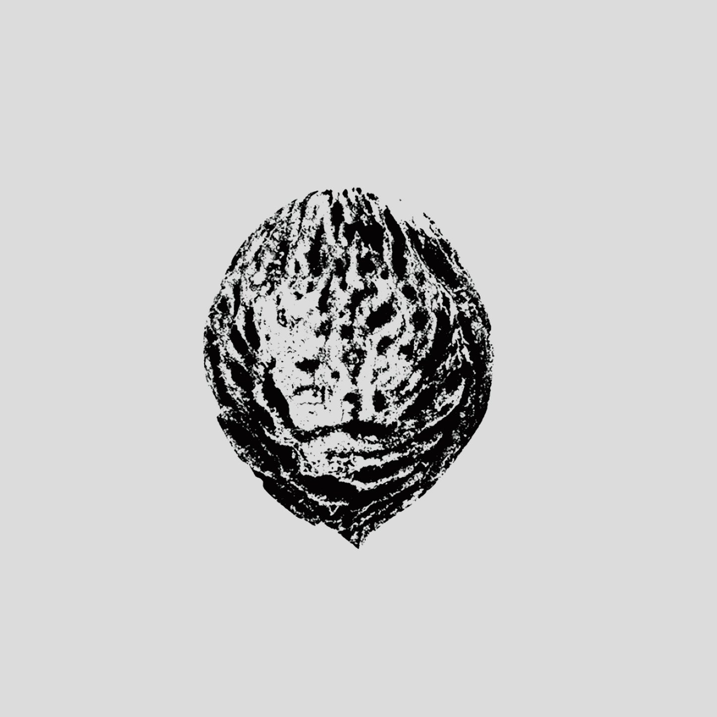 Black Lips 'Bebop Armageddon (Detours & Offcuts From Season Of The Peach)'