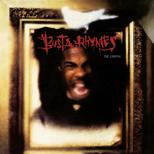 Busta Rhymes 'The Coming'