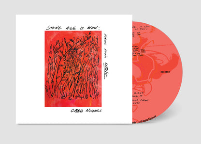Caleb Nichols 'Stone Age Is Now: Poems from Lithic' PRE-ORDER