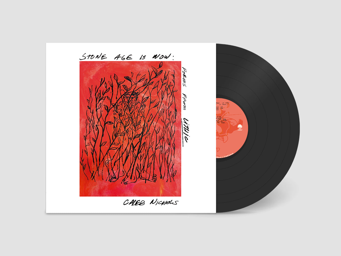 Caleb Nichols 'Stone Age Is Now: Poems from Lithic' PRE-ORDER
