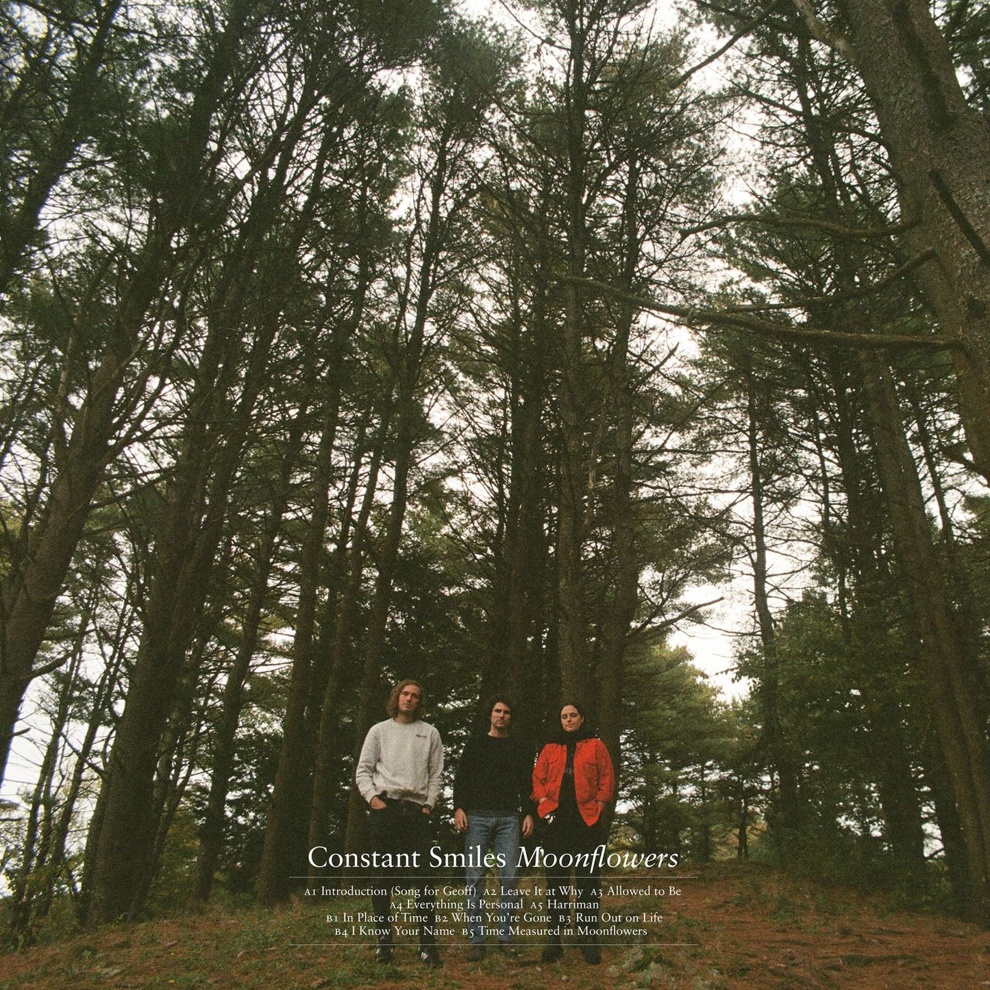 Constant Smiles 'Moonflowers'