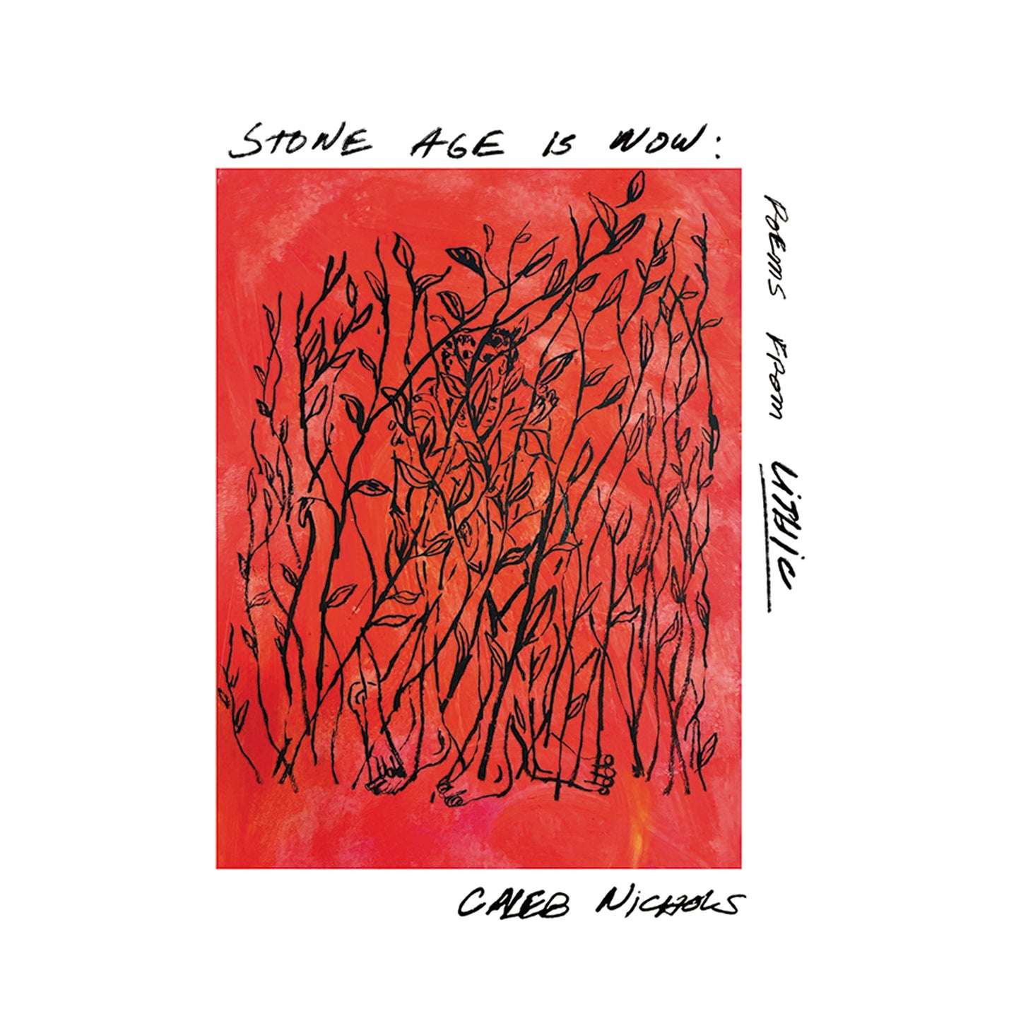 Caleb Nichols 'Stone Age Is Now: Poems from Lithic' PRE-ORDER